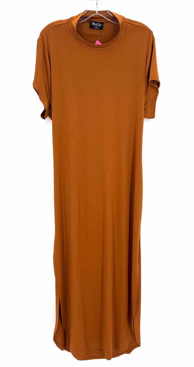 Size 3X Bronze Dress