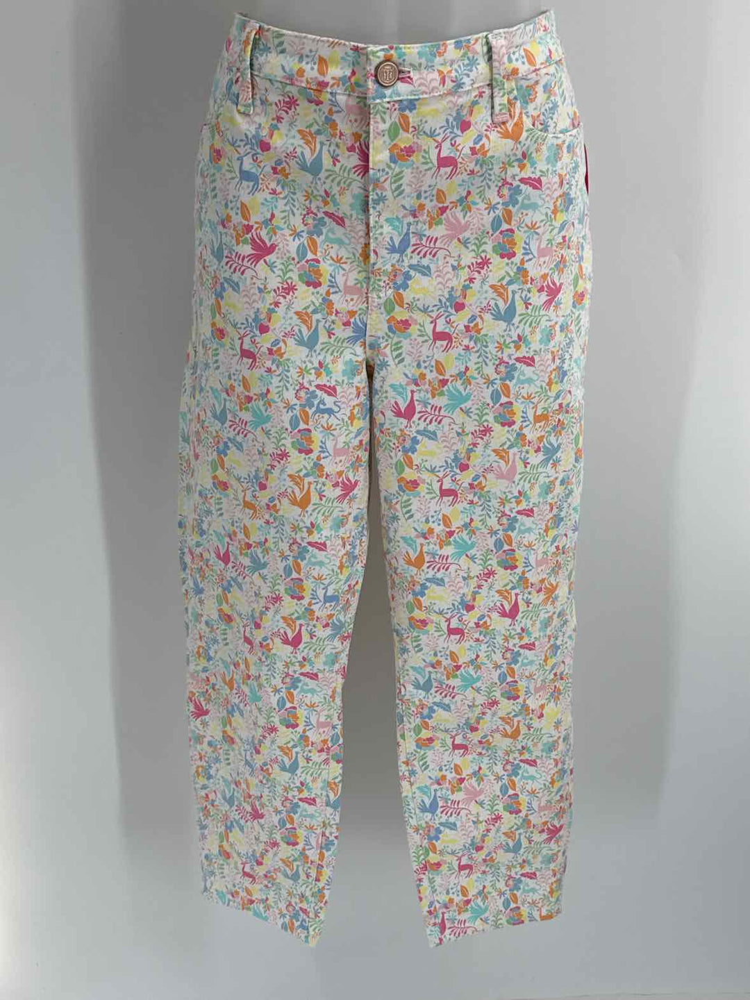 Size 14 Talbots Multi-Color Pants