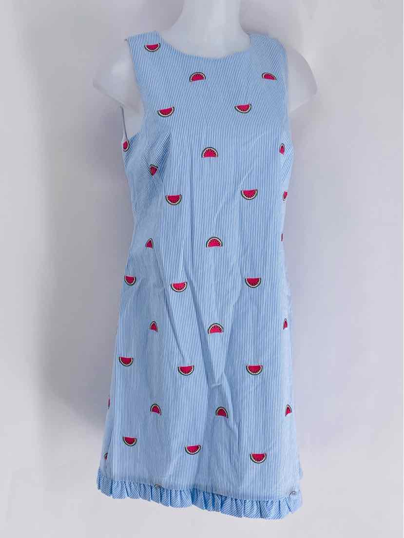 Size 8P Talbots Blue Dress