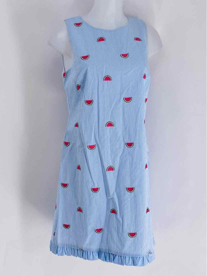 Size 8P Talbots Blue Dress