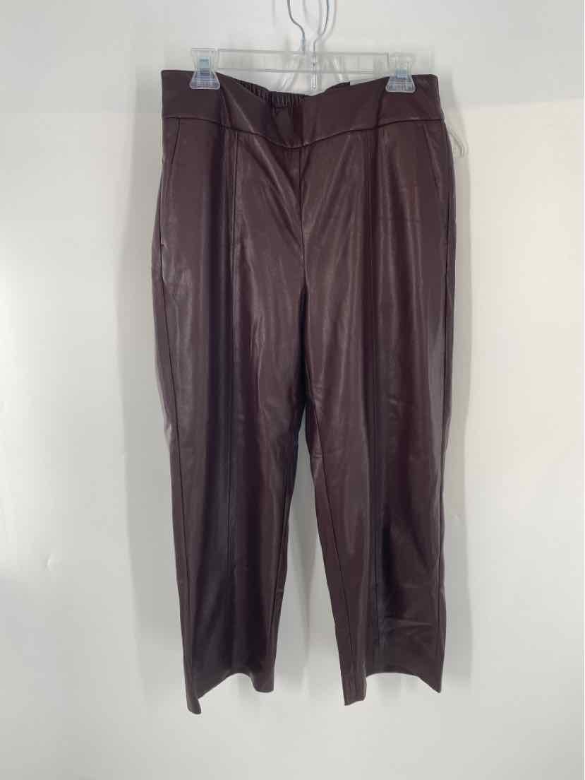 Size 10 Chico's Brown Pants