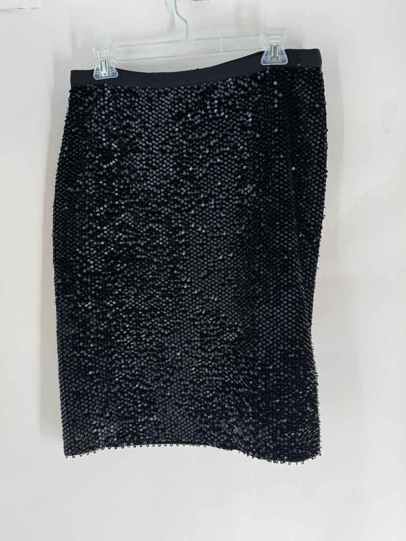 Size 10 Ann Taylor Black Skirt