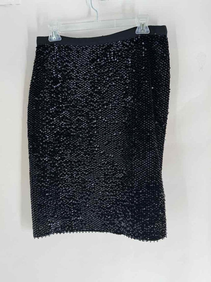 Size 10 Ann Taylor Black Skirt