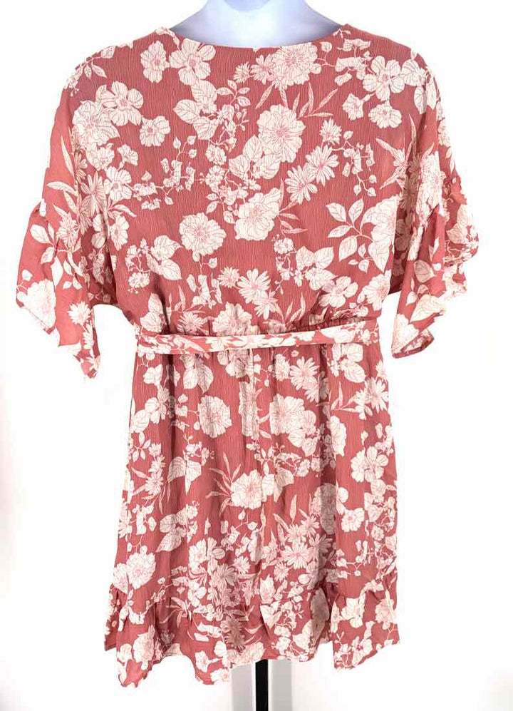Size 20W Blush Dress