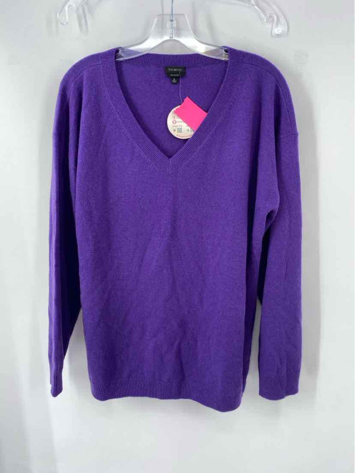 Size XL Talbots Purple Sweater