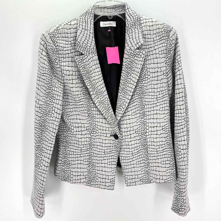 Size 6 Calvin Klein Silver Blazer