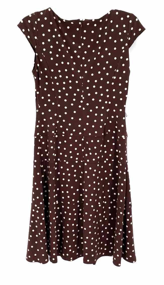 Size 4 Brown Print Dress