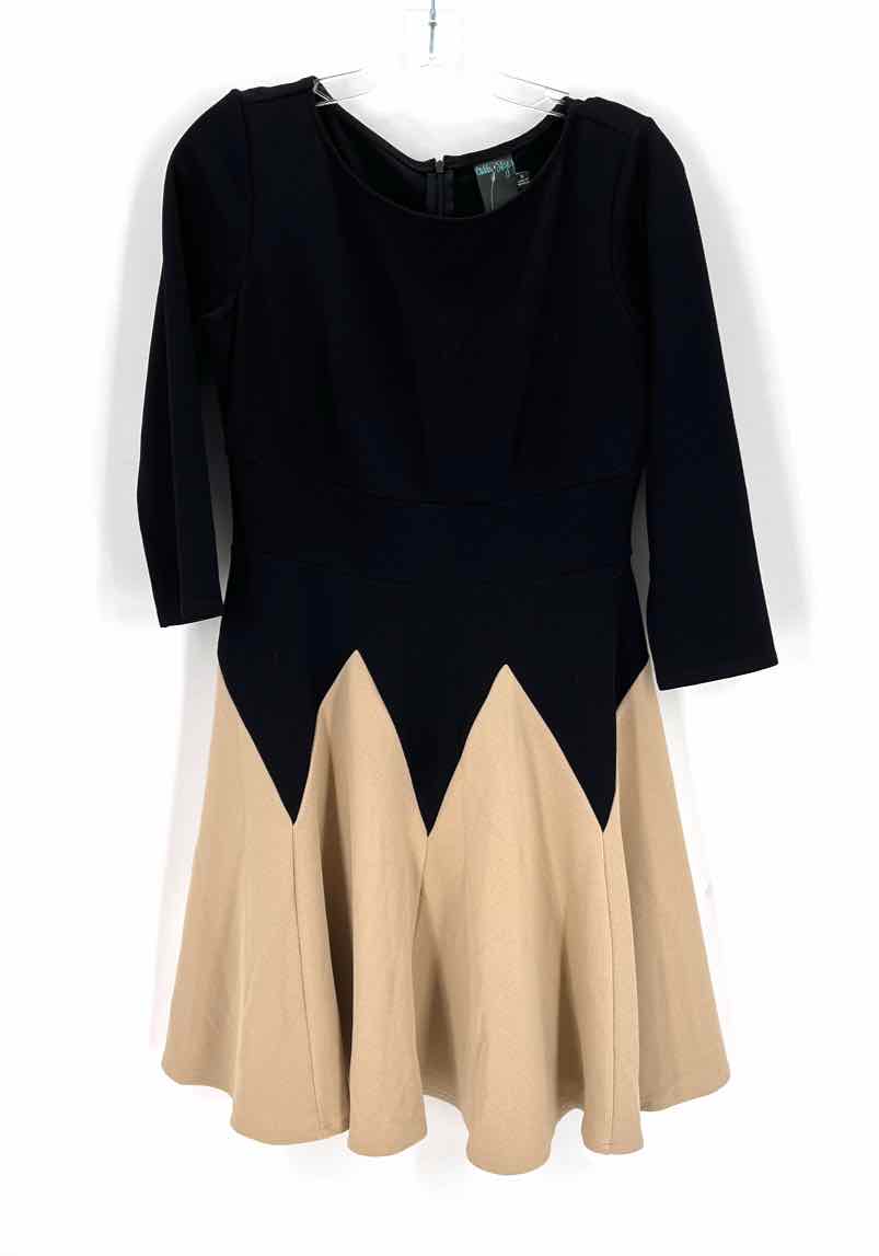Size 6 Multi-Color Dress