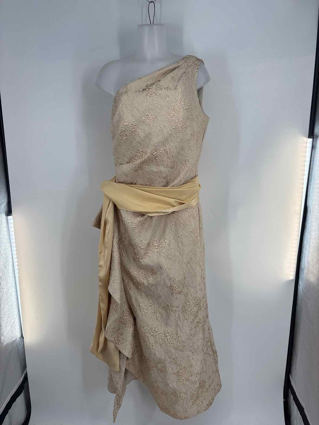 Size 14 TERI JON Gold PROM