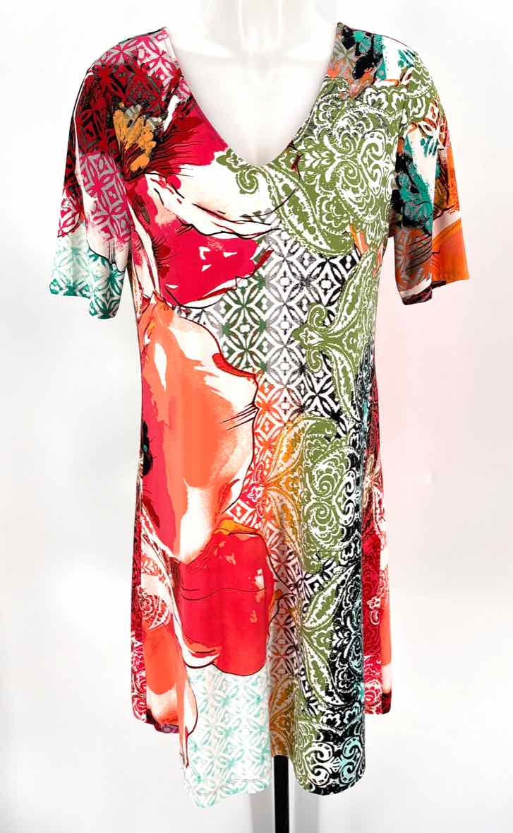 Size M Chico's Multi-Color Dress
