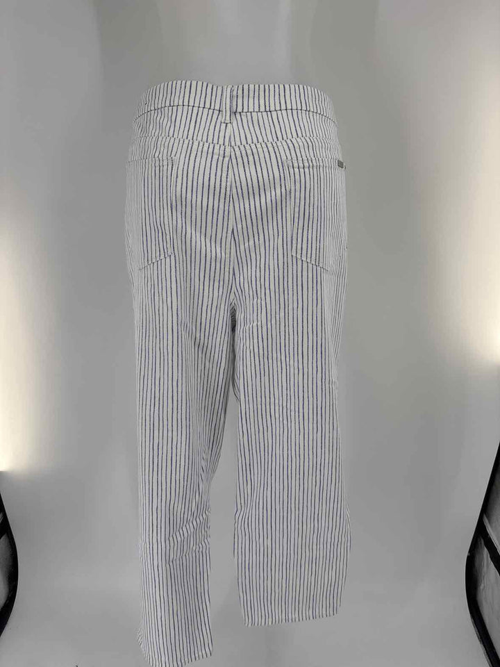 Size 1X Chico's Blue Pants