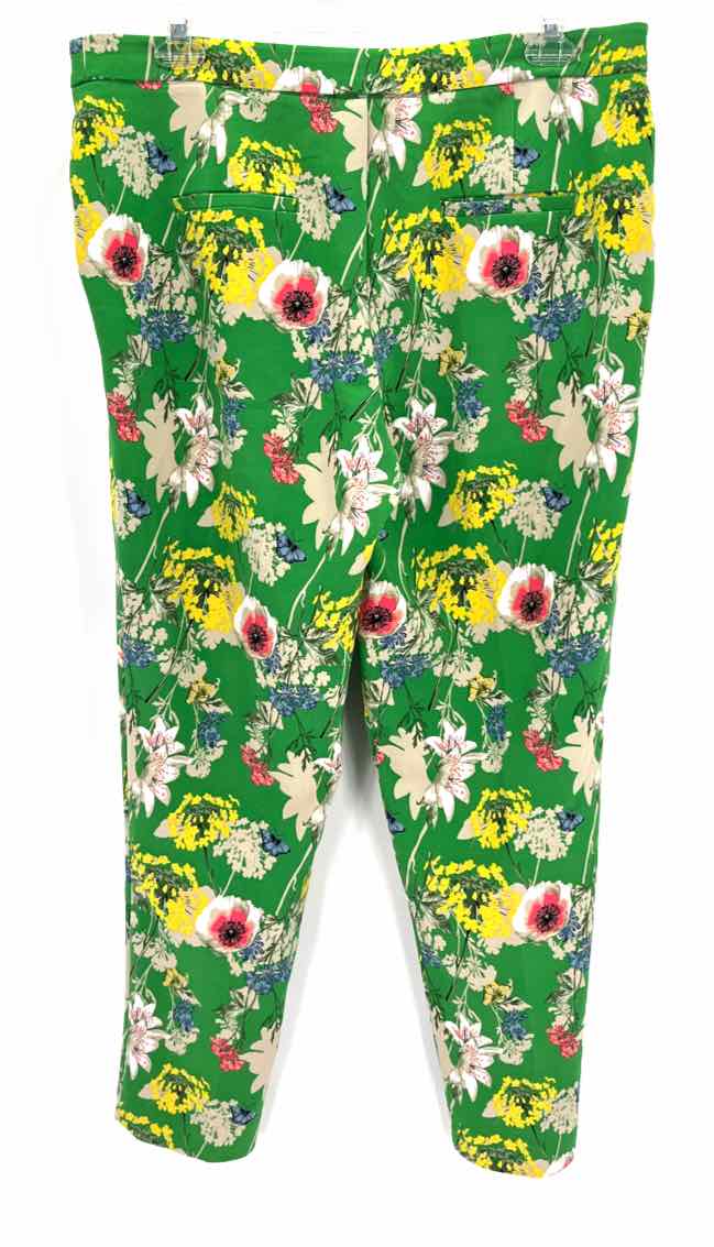 Size 16 GIBSON Green Pants