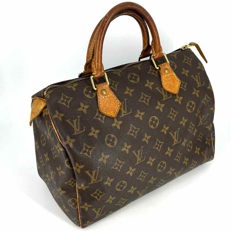 Louis Vuitton Luxury - Purse