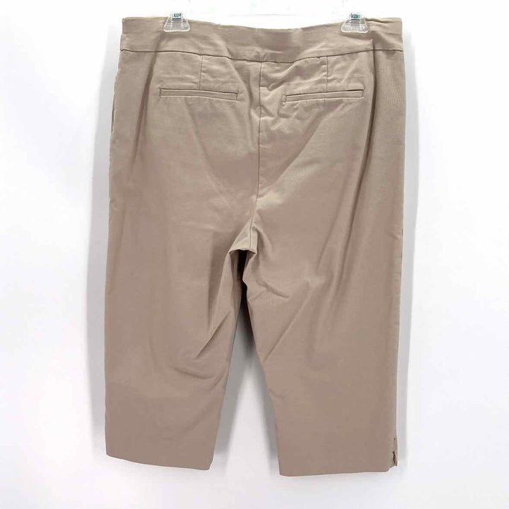 Size L Chico's Khaki Pants