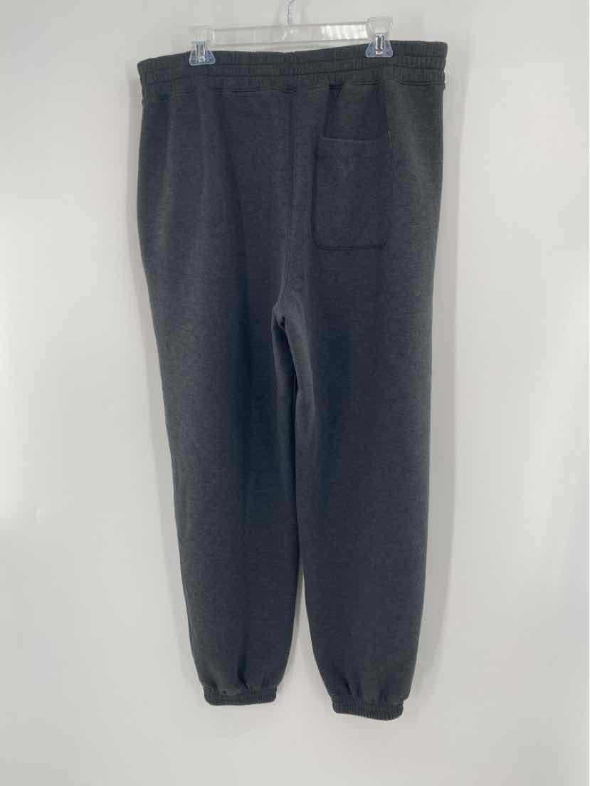 Size 1X SPANX Gray Pants
