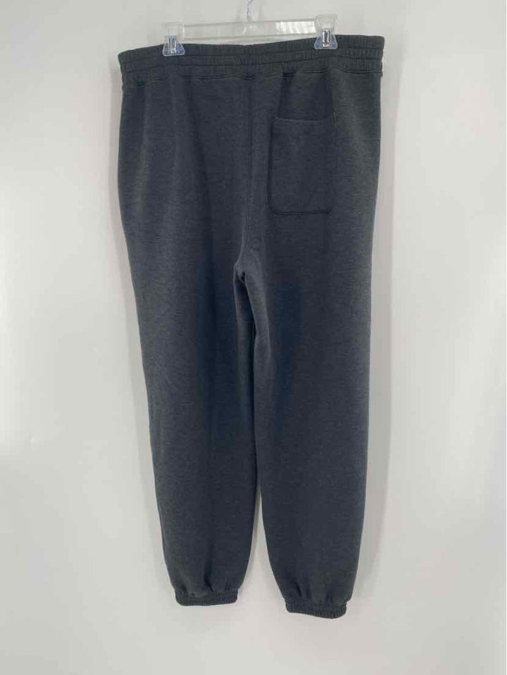 Size 1X SPANX Gray Pants
