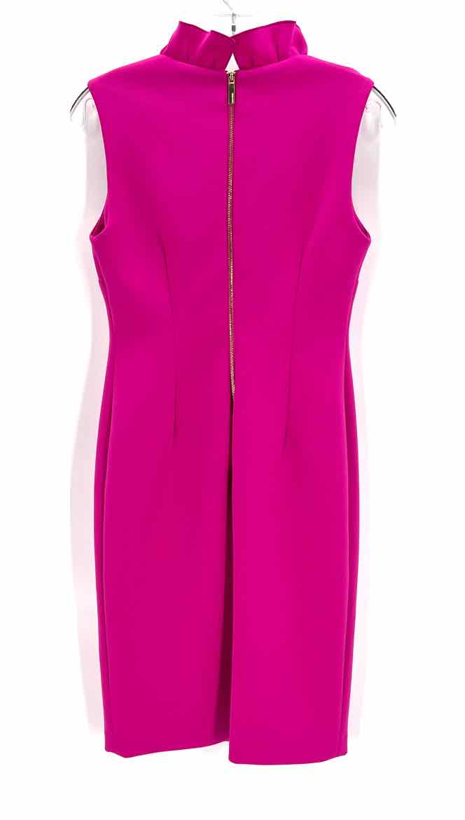 Size 4 Calvin Klein Fuschia Dress