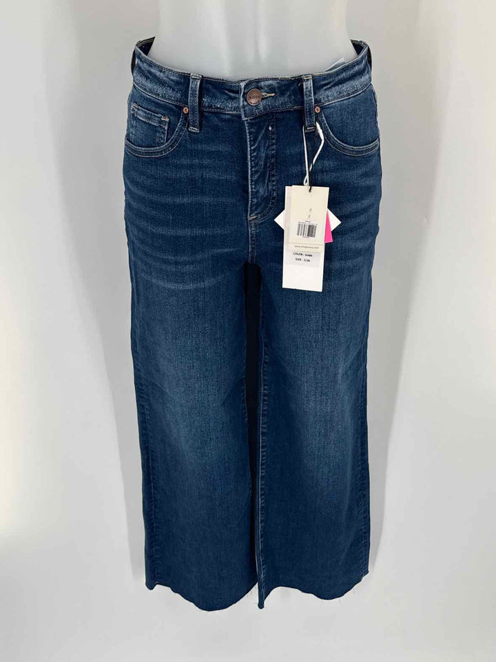 Size 28 RISEN Denim Pants