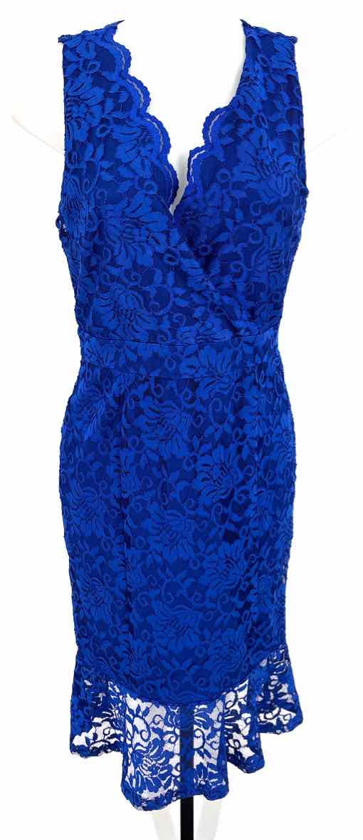 Size M Royal Blue Lace Dress