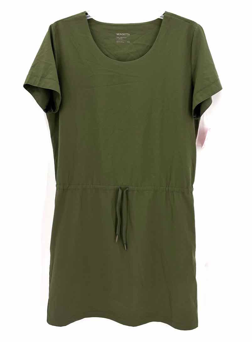 Size M Olive Dress