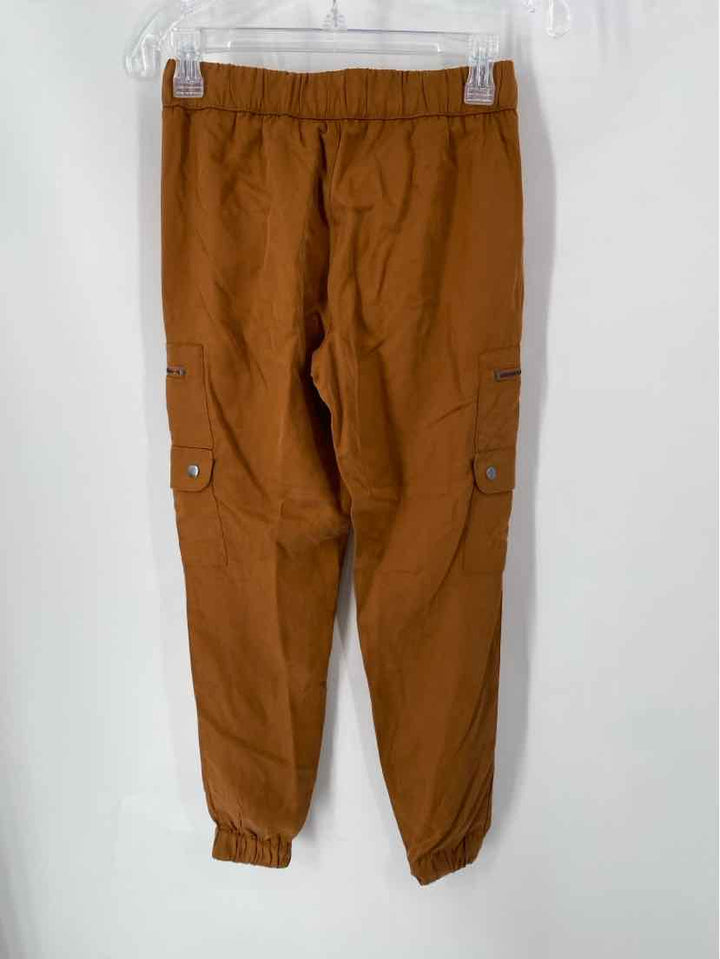 Size XXS Banana Republic Brown Pants