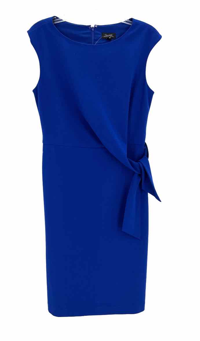 Size 10 TAHARI Blue Dress
