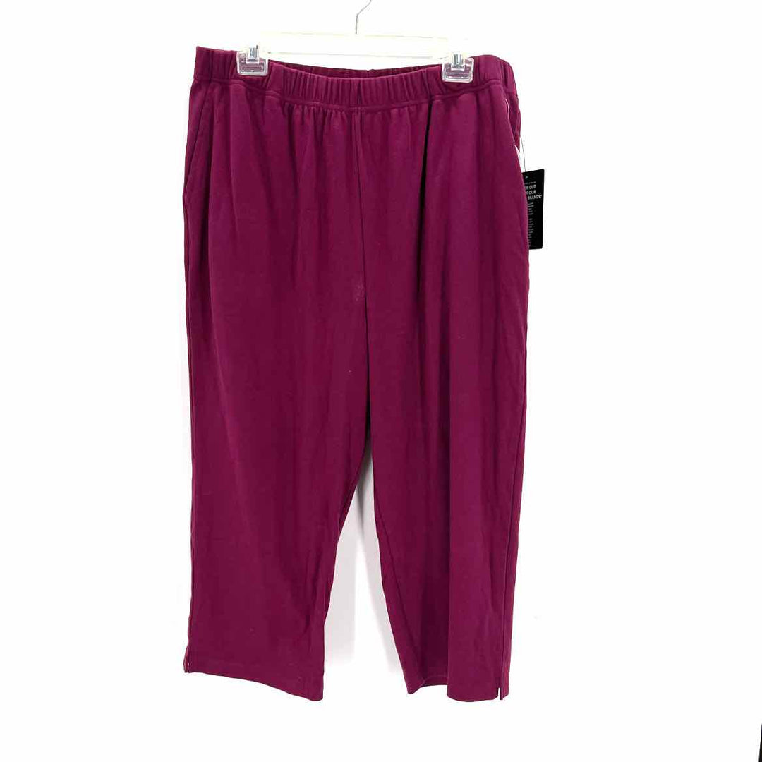 Size 22/24 WOMAN WITHIN Purple Knit Pants