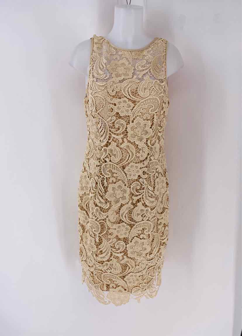 Size 12 Adrianna Papell Ivory Knit Lace Dress