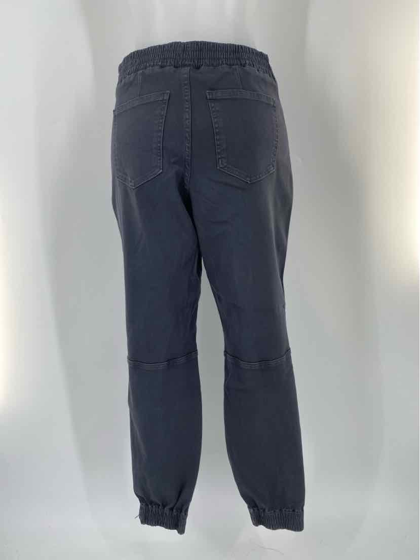 Size M SPANX Gray Pants