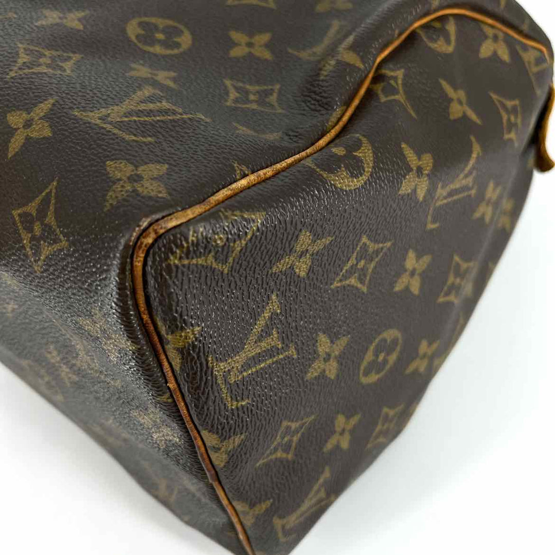 Louis Vuitton Luxury - Purse