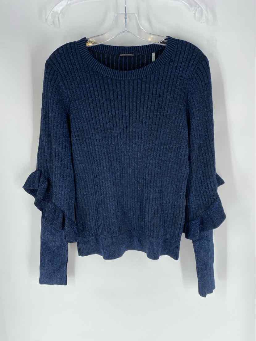 Size L TAHARI Blue Sweater