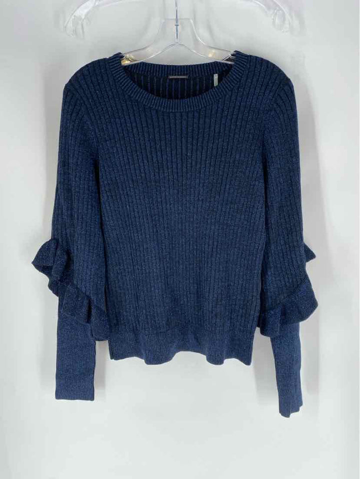 Size L TAHARI Blue Sweater