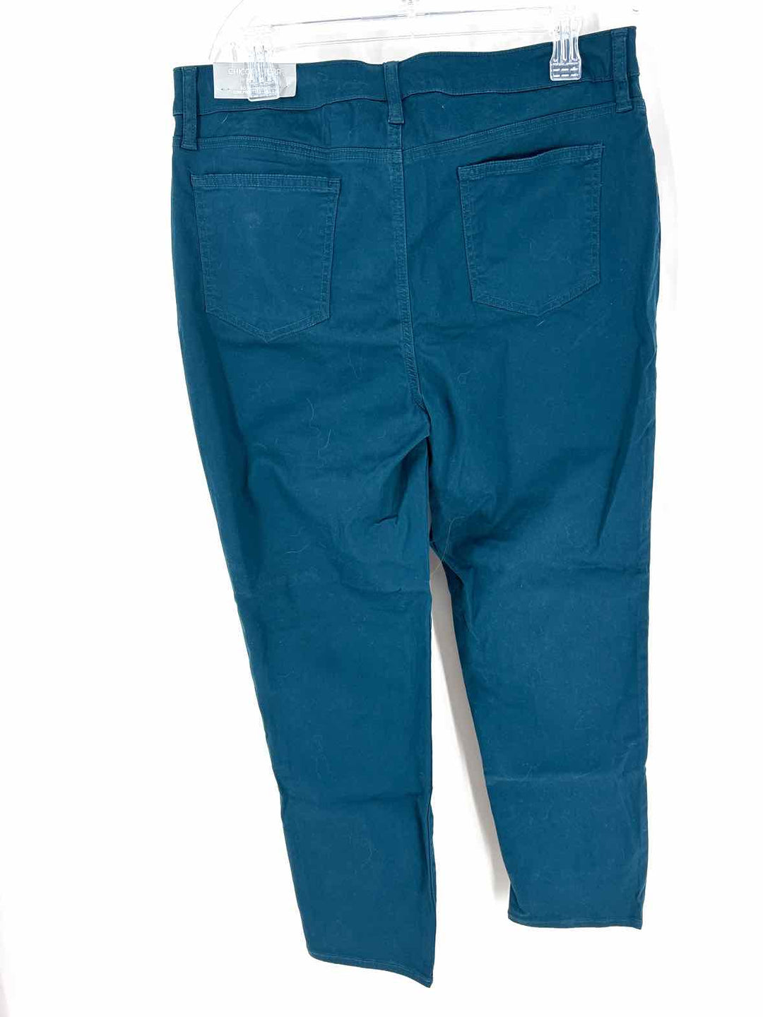 Size 12 Chico's Teal Pants