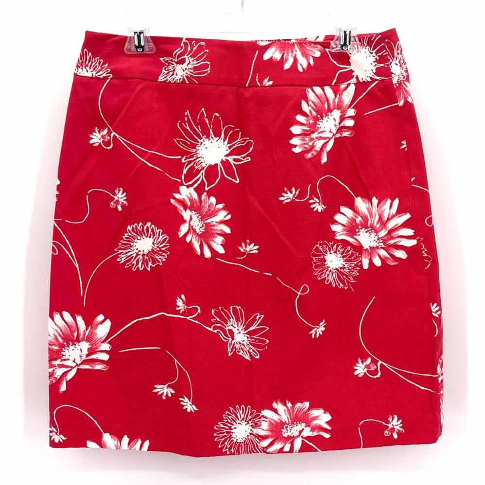 Size 10 RAFELLA Pink Skirt