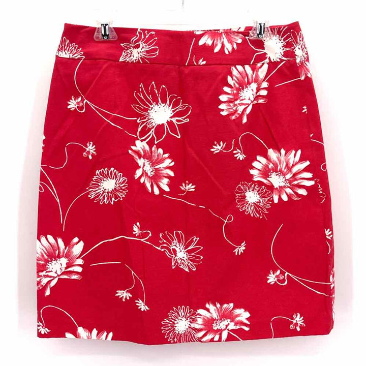 Size 10 RAFELLA Pink Skirt