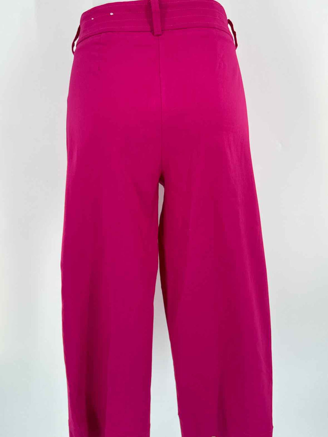 Size 12 Chico's Purple Pants