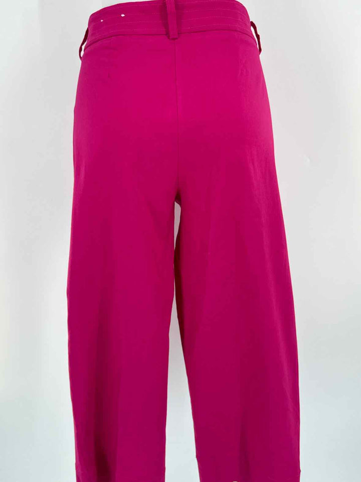 Size 12 Chico's Purple Pants