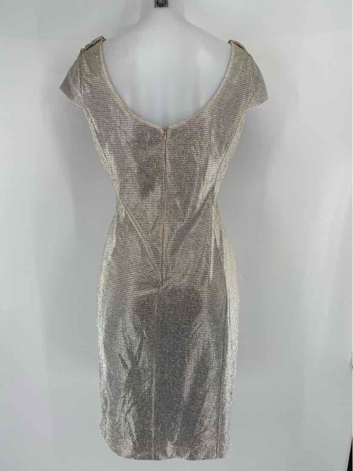 Size 8 TAHARI Silver Dress