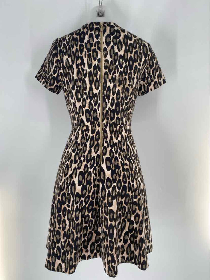 Size 8 Kate Spade Brown Print Dress