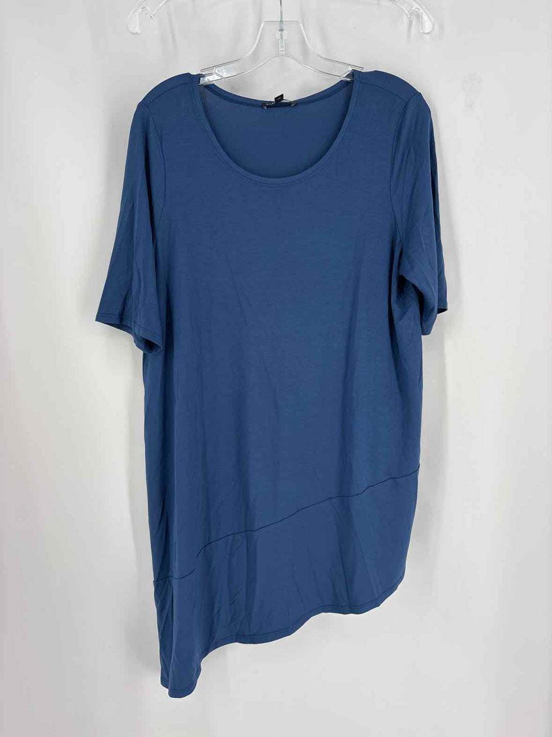 Size L Eileen Fisher Blue Shirt