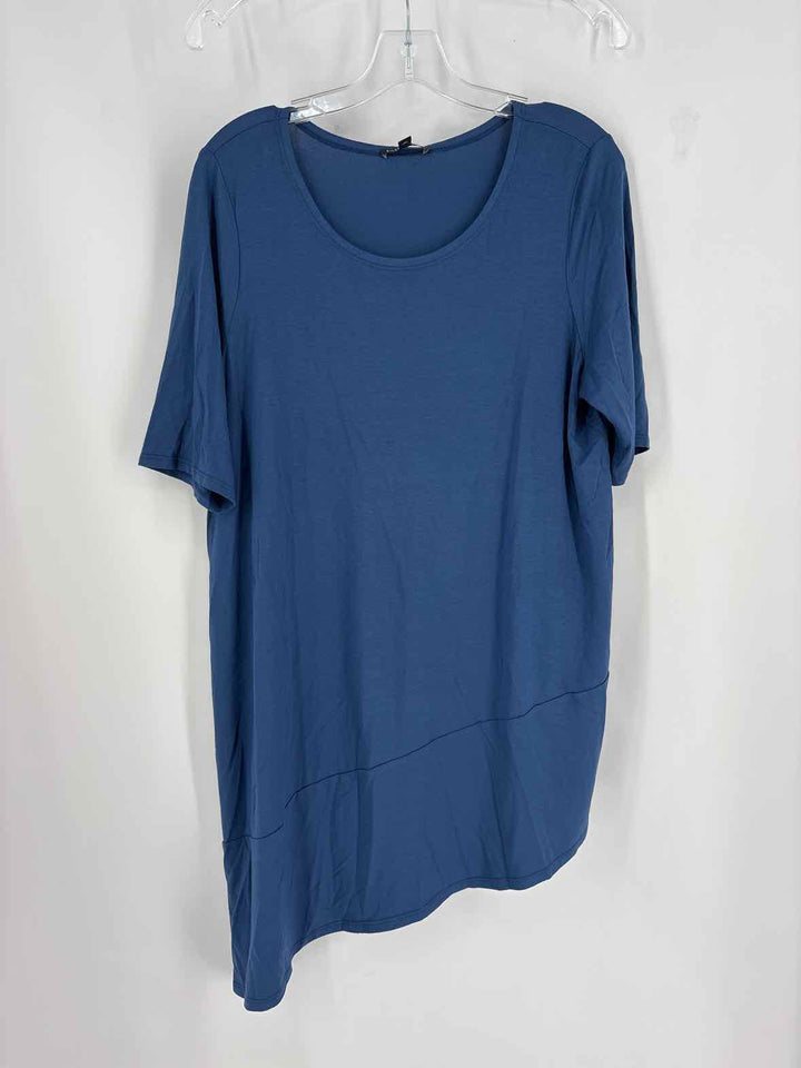 Size L Eileen Fisher Blue Shirt