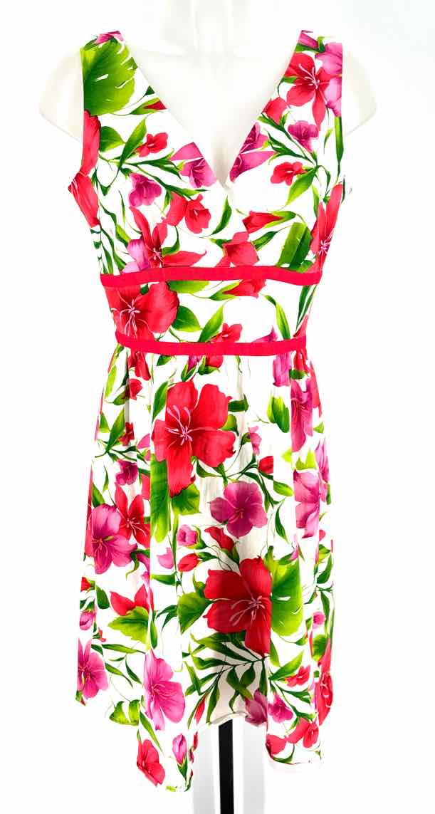 Size 10 Multi-Color Dress