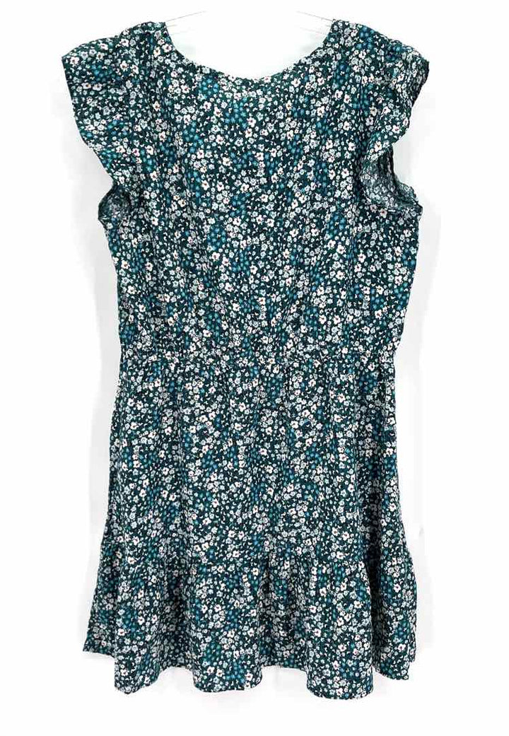 Size XL Ann Taylor Teal Dress