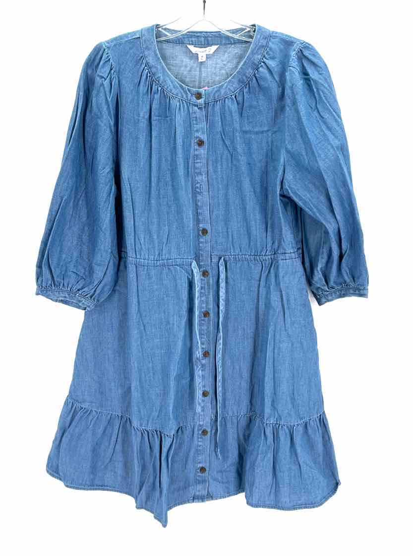 Size M Denim Dress