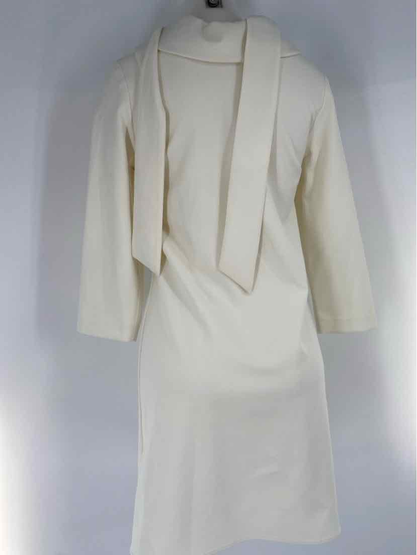 Size S White Dress