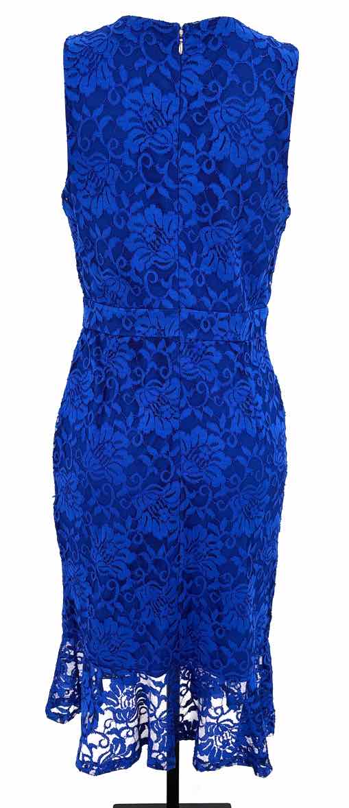 Size M Royal Blue Lace Dress