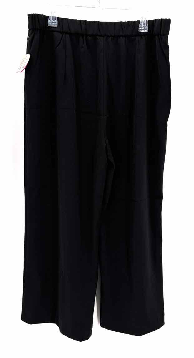 Size 2X Black Pants