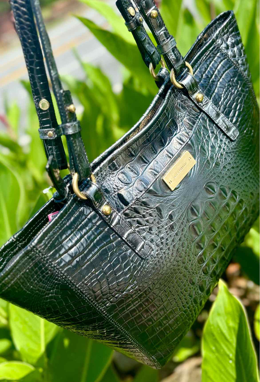 Brahmin Purse