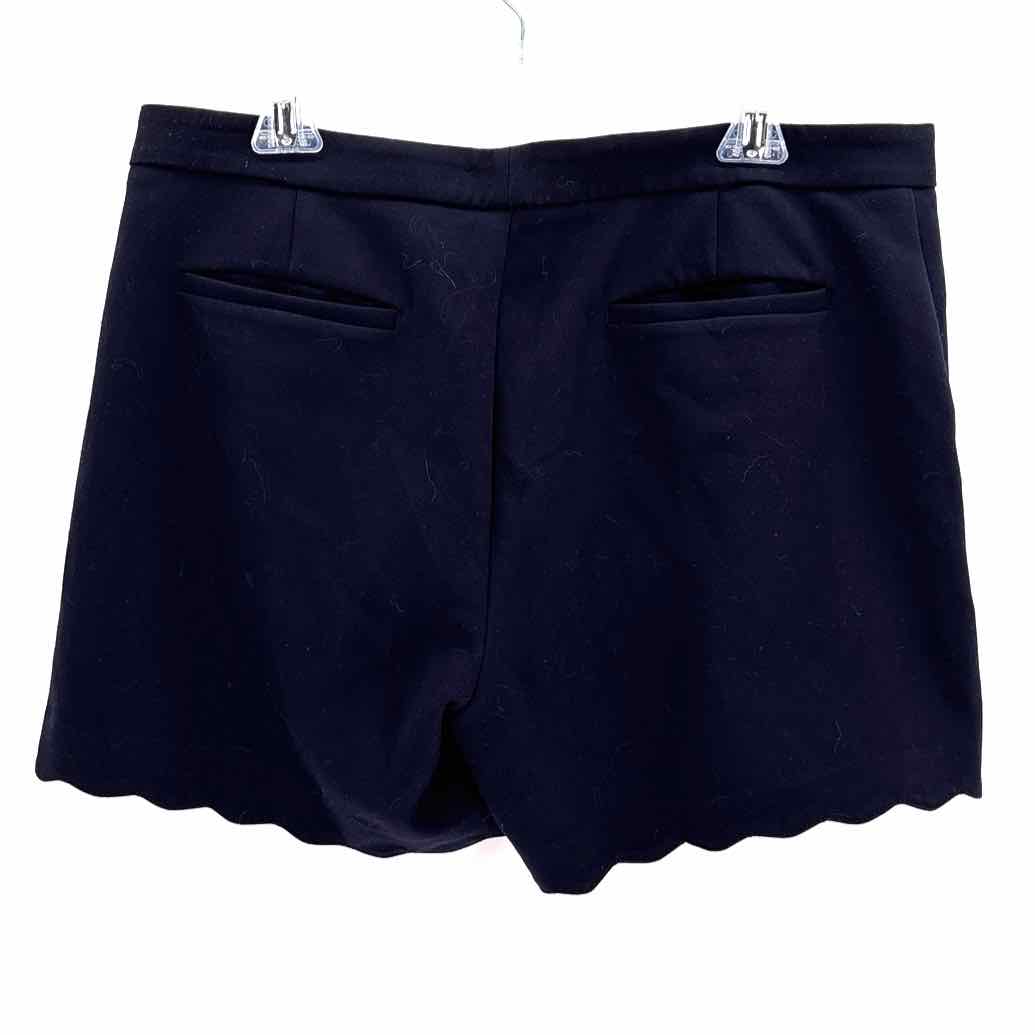 Size 12 Banana Republic Navy Shorts