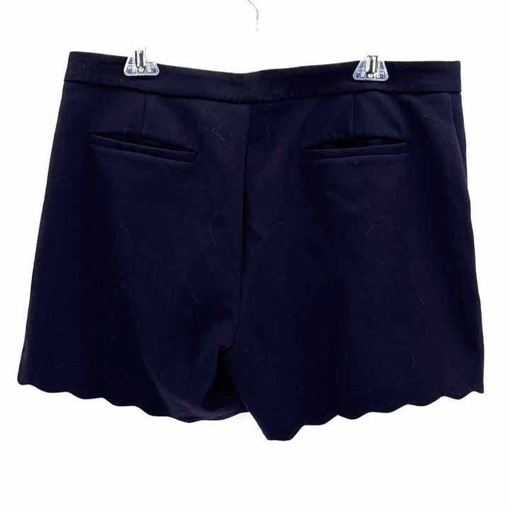 Size 12 Banana Republic Navy Shorts